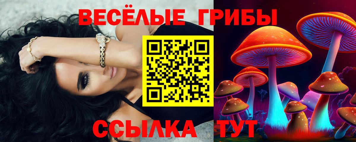Кудымкар  Псилоцибиновые грибы Psilocybine cubensis  Вход с VPN 
